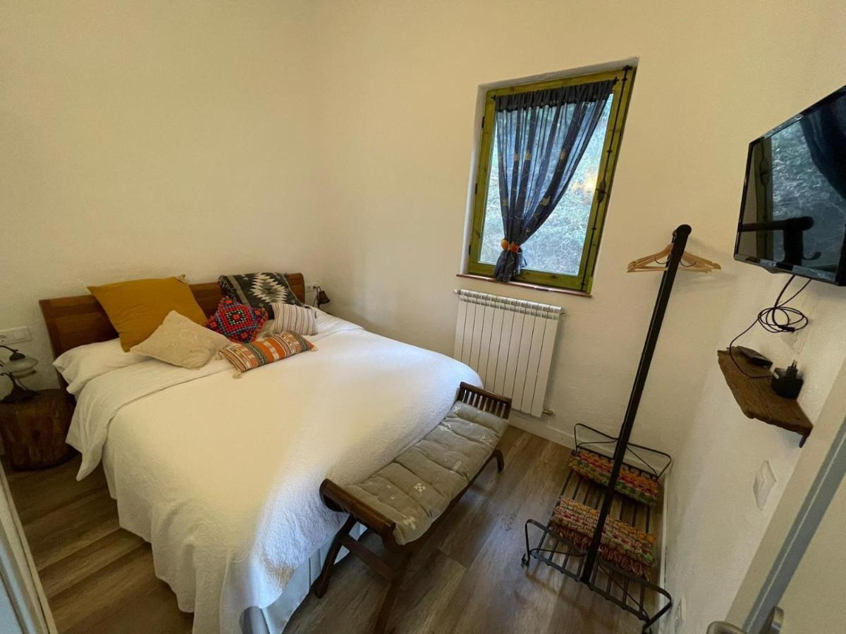 Stunning 4-Bed Cottage In Montseny Natural Park Arbucies Ngoại thất bức ảnh